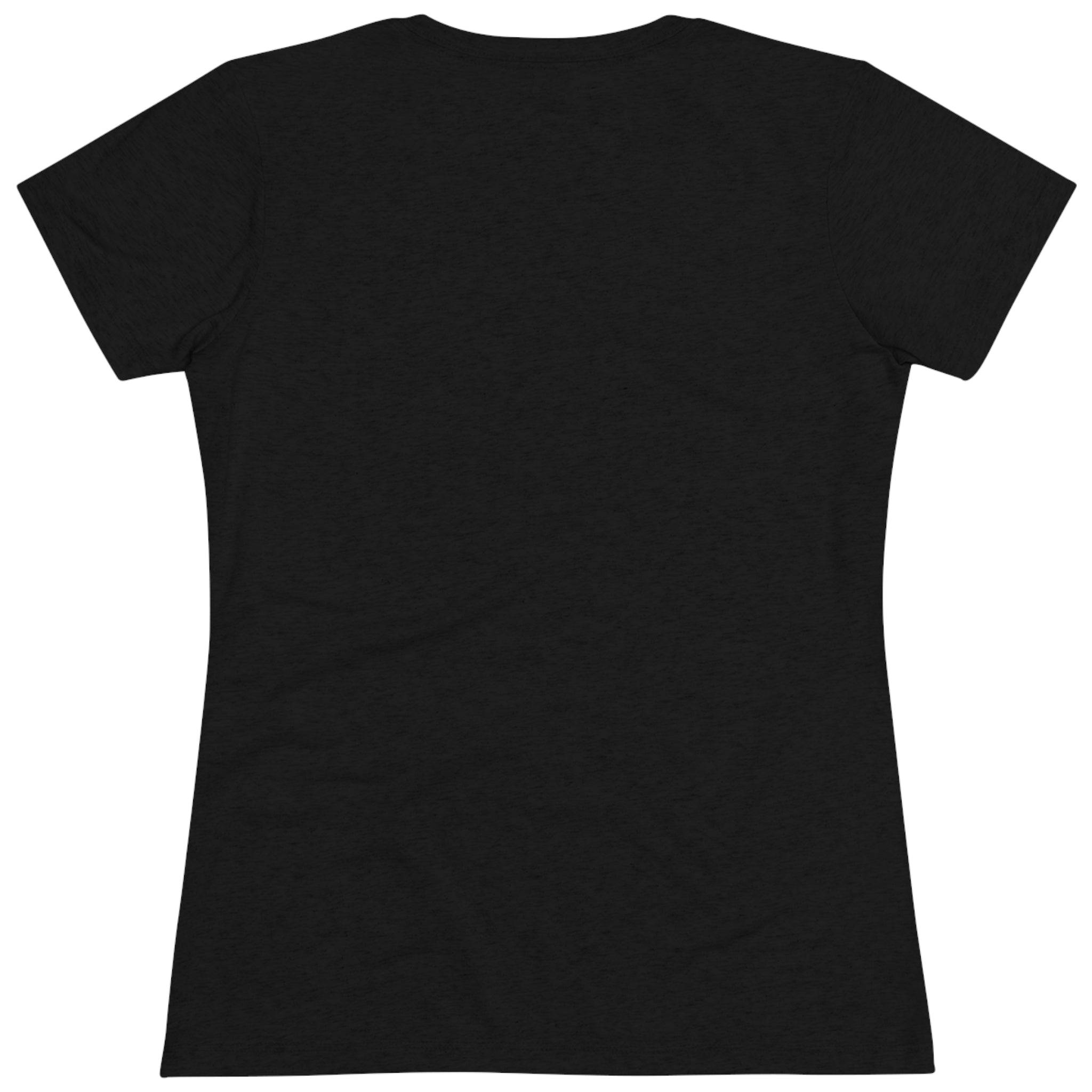 We learn from our experience (Women's Triblend Tee)